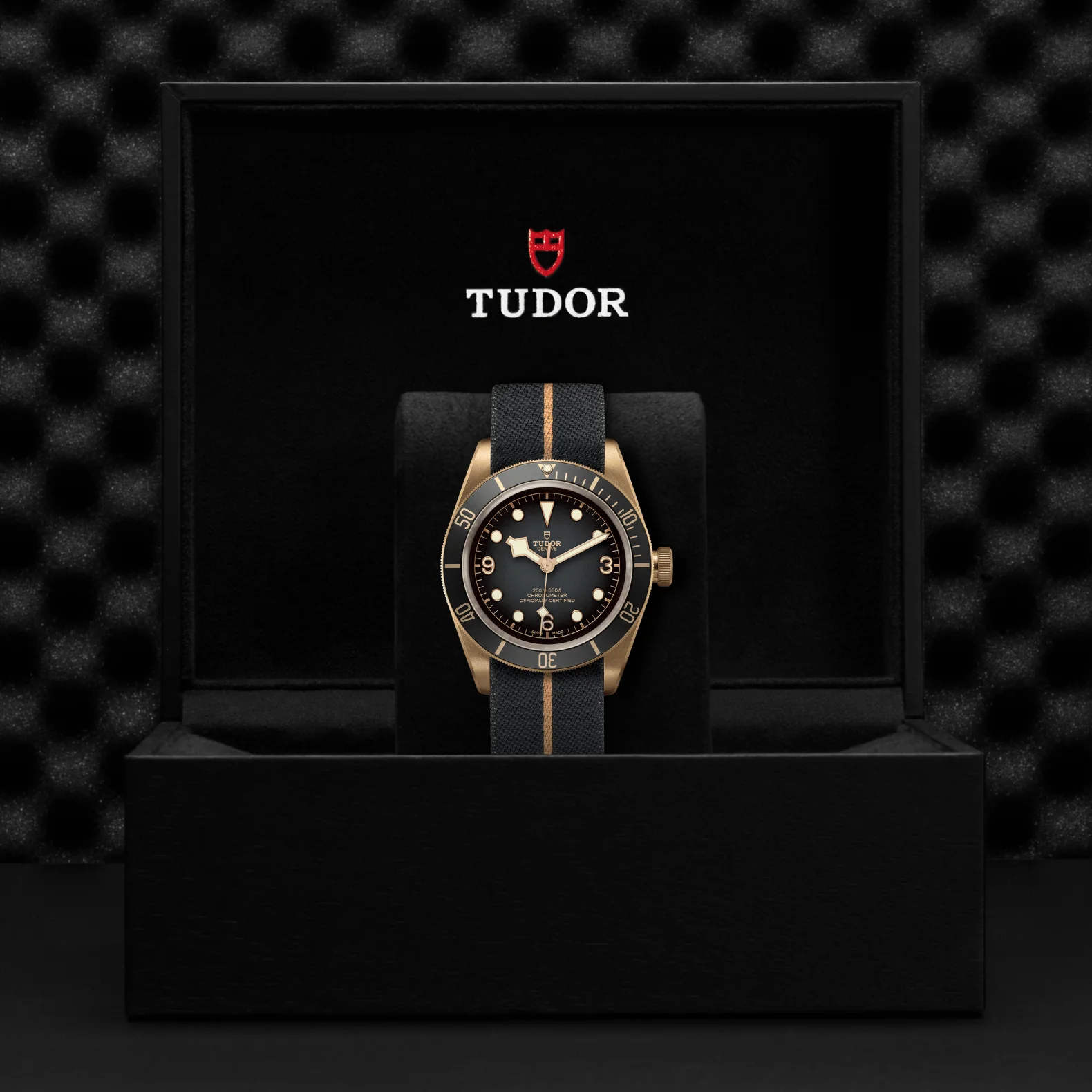 Black Bay Bronze - Image 4