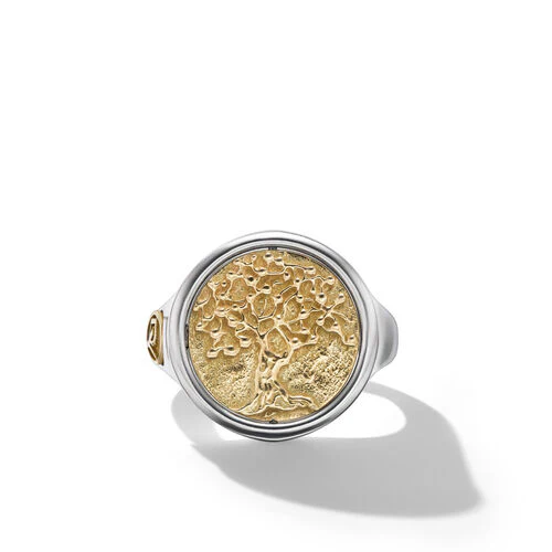 Life and Death Ring in Silver and Yellow Gold, Size 10 - Image 3