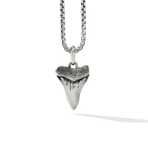 David Yurman The Amulets Collection Pendant in Sterling Silver