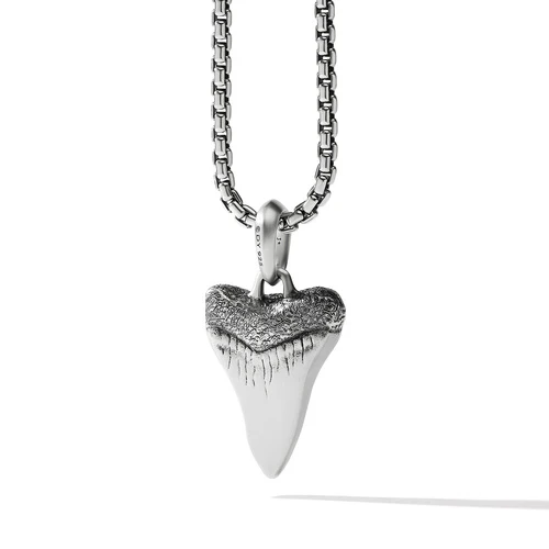 David Yurman The Amulets Collection Pendant in Sterling Silver - Image 2