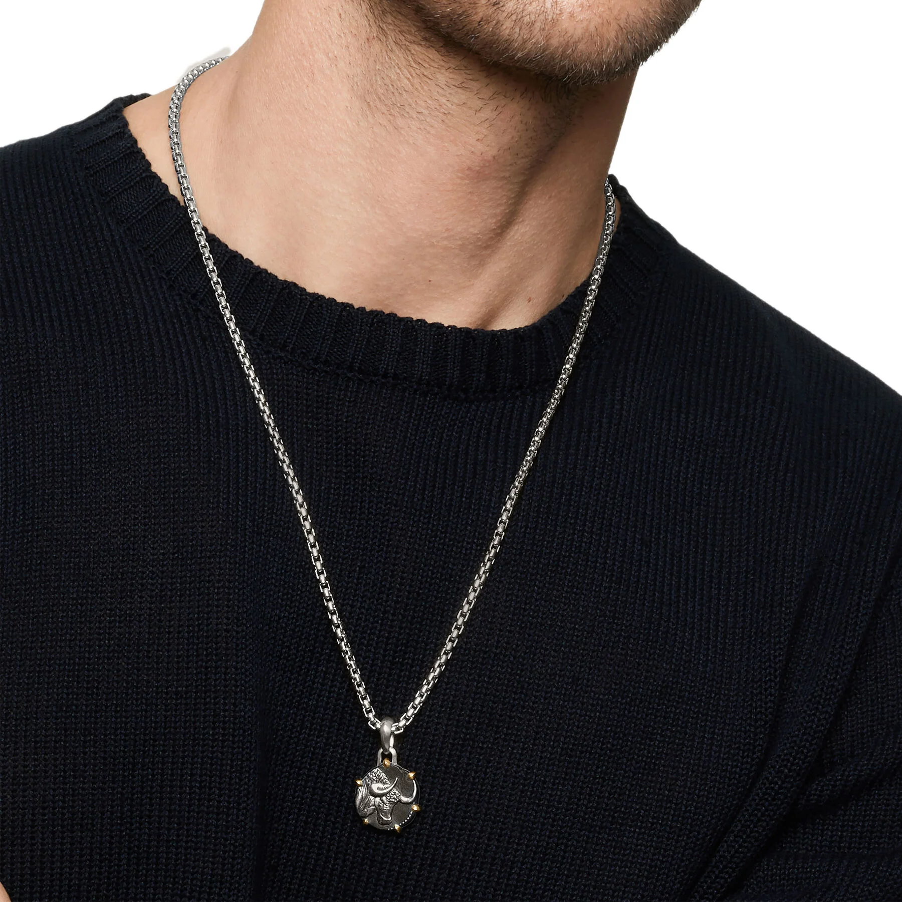 David Yurman The Amulets Collection Pendant in Silver and 18-Karat Yellow Gold - Image 5