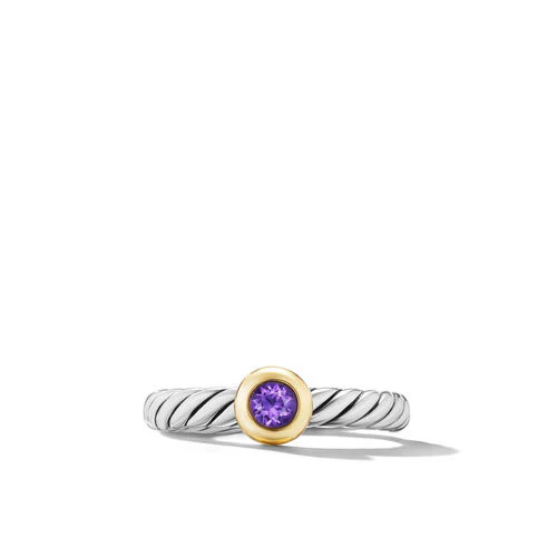 Petite Cable Ring in Sterling Silver with 14K Yellow Gold and Amethyst, 2.8mm - Image 3