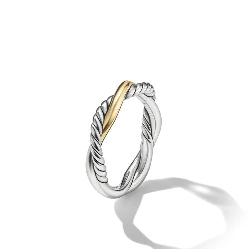 Petite Infinity Band Ring in Sterling Silver with 14K Yellow Gold, Size 6 - Image 3