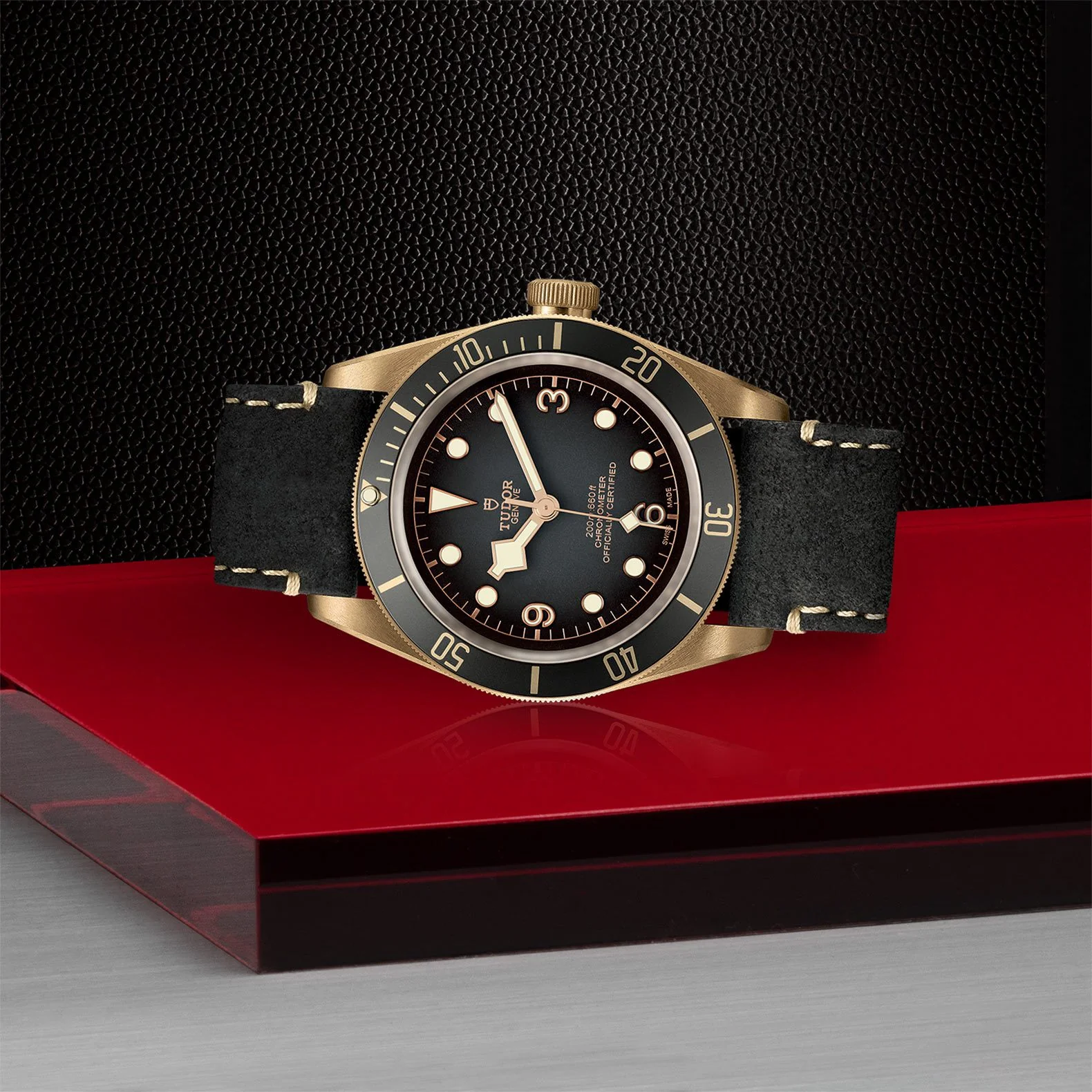 Black Bay Bronze - Image 4